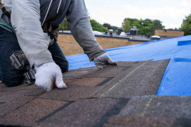 Professional Roofing Contractor in Durand, WI