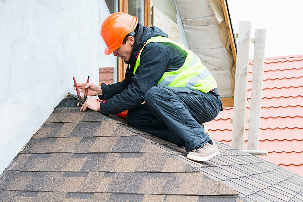 Best Roof Gutter Cleaning  in Durand, WI